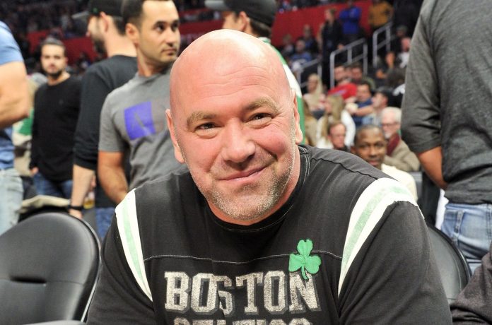 Дана Уайт рассказал о перспективах дебюта Тайсона Фьюри в UFC