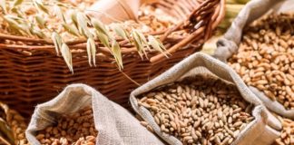 Аналитики предсказывают 5%-й рост цены на зерно в 2020 Аналитики предсказывают 5%-й рост цены на зерно в 2020