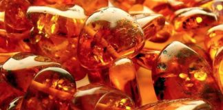 Нелегальные копатели янтаря напали на лесную охрану Нелегальные копатели янтаря напали на лесную охрану