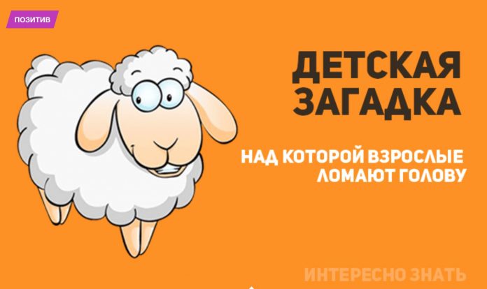 Тест: Сможете ли вы без ошибок пройти тест из школьных загадок?