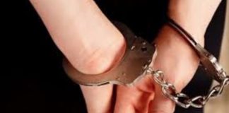 Жена экс-министра Кожары созналась в случайном убийстве Старицкого Жена экс-министра Кожары созналась в случайном убийстве Старицкого