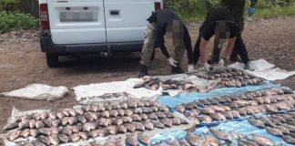 ГБР задержало природоохранника за вылов рыбы в заповеднике ГБР задержало природоохранника за вылов рыбы в заповеднике