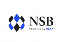 Nsbroker – обзор и вся правда о форекс брокере