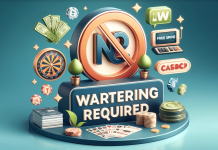 Бонусы без вейджера в интернет-казино: основные условия предоставления